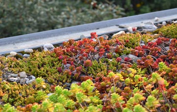 the cost of Annalong green roof installation