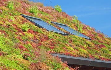 Annalong living roof systems